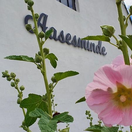Bed and Breakfast Aasesminde Faaborg Exterior foto
