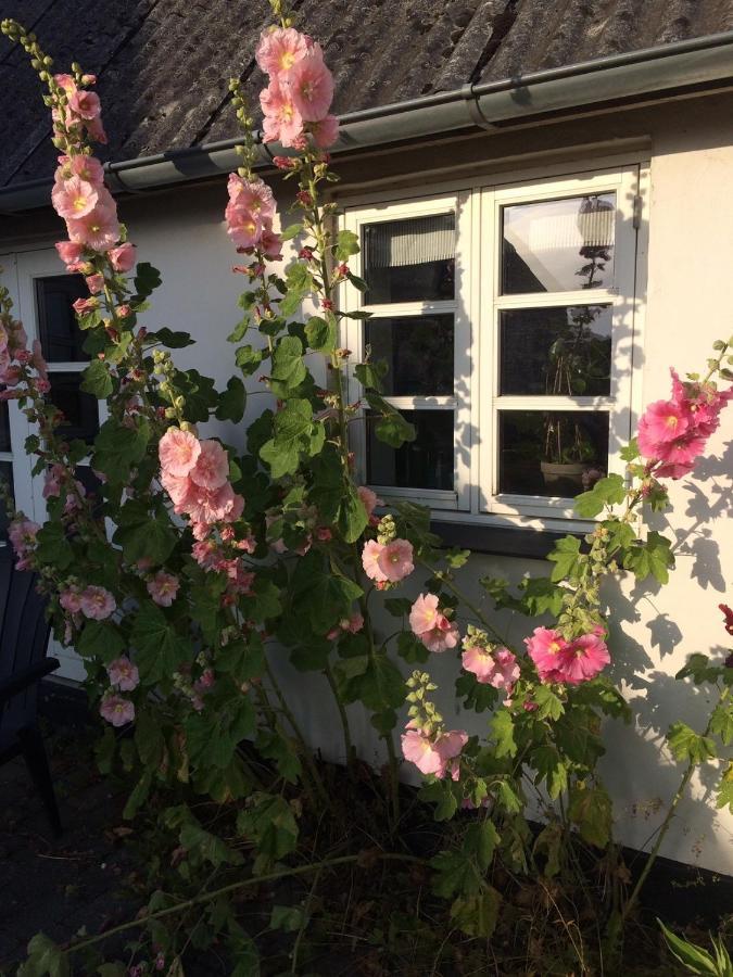 Bed and Breakfast Aasesminde Faaborg Exterior foto