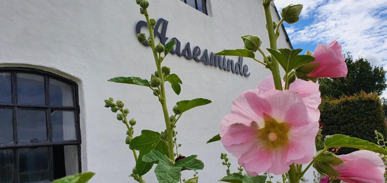 Bed and Breakfast Aasesminde Faaborg Exterior foto